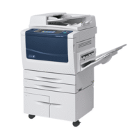 Untitled design (82)